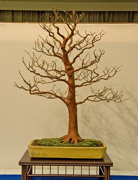 DSC_5690v.jpg