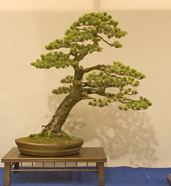 DSC_8908v.jpg