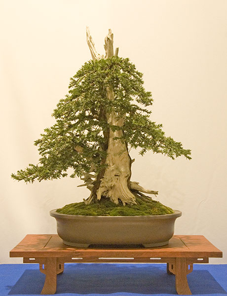 DSC_8914v.jpg