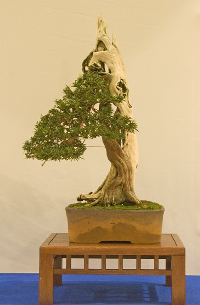DSC_8916v.jpg