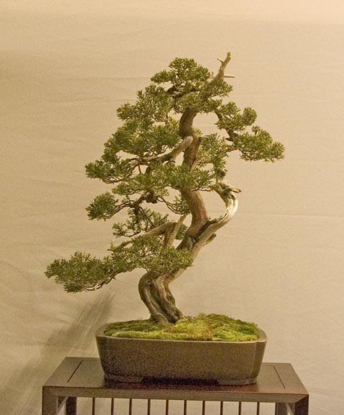 DSC_8922v.jpg