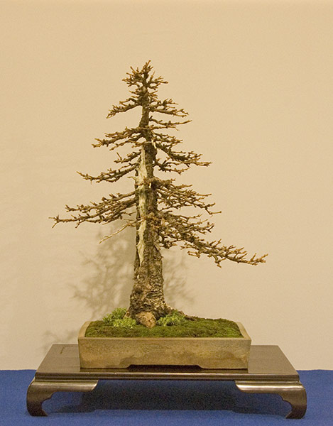 DSC_8931v.jpg