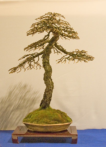 DSC_8933v.jpg