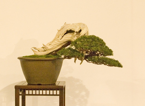 DSC_8939v.jpg