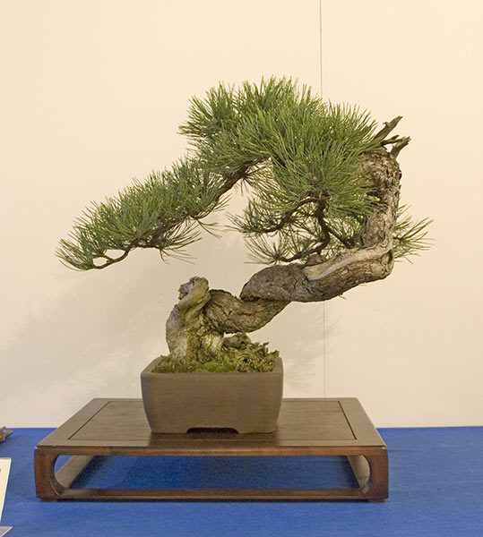 DSC_9222v.jpg