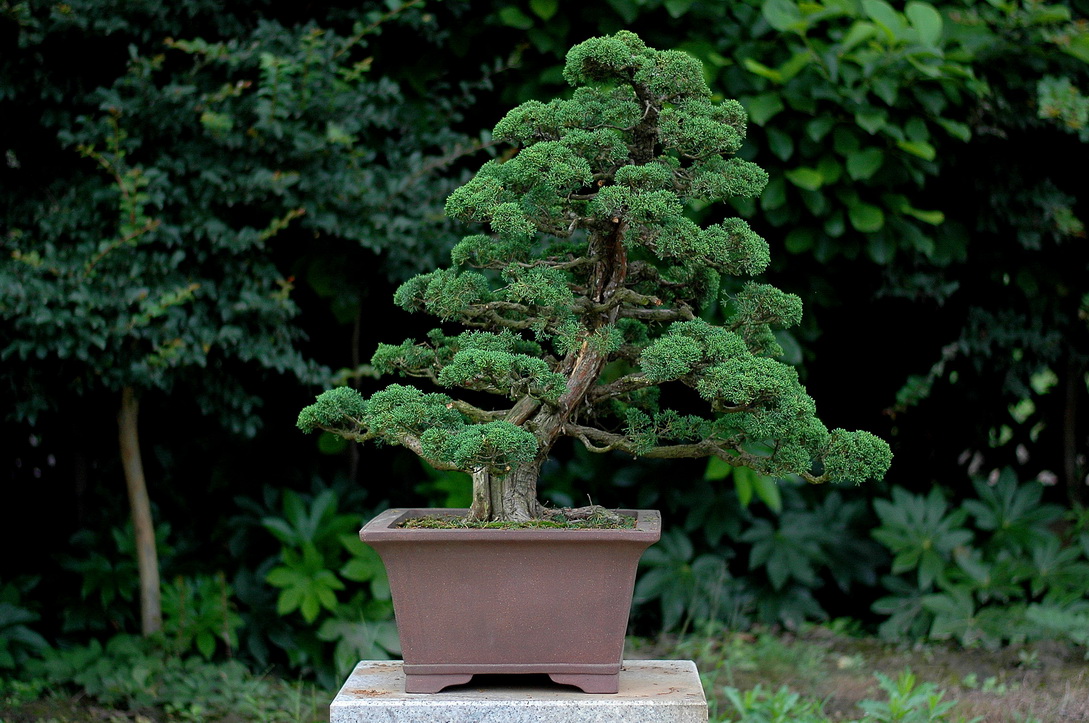 DSC_4879_1_resize.jpg