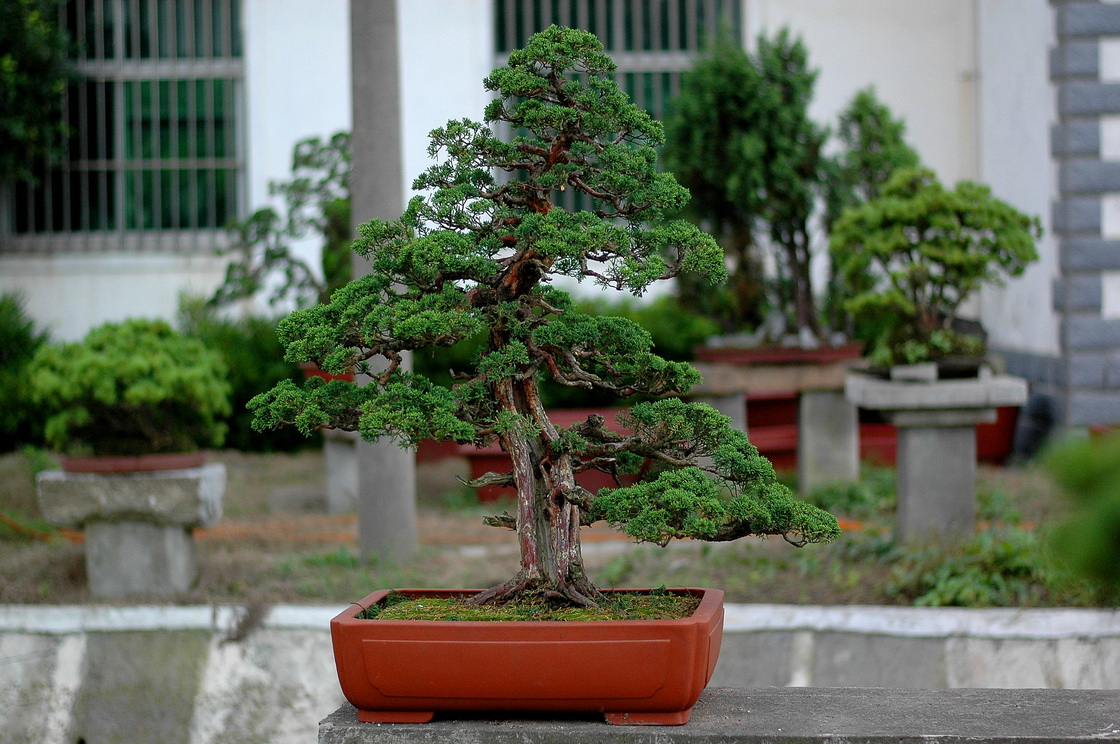 DSC_4904__resize.jpg