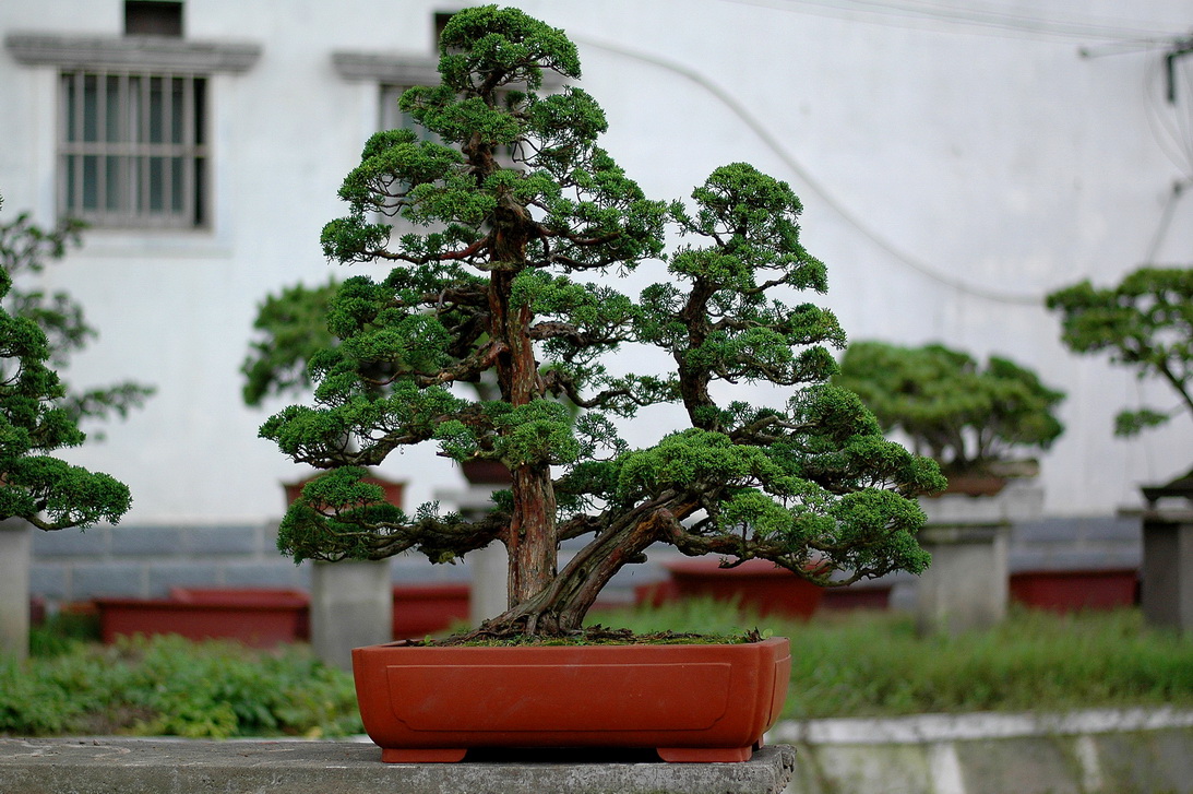 DSC_4906_1_resize.jpg