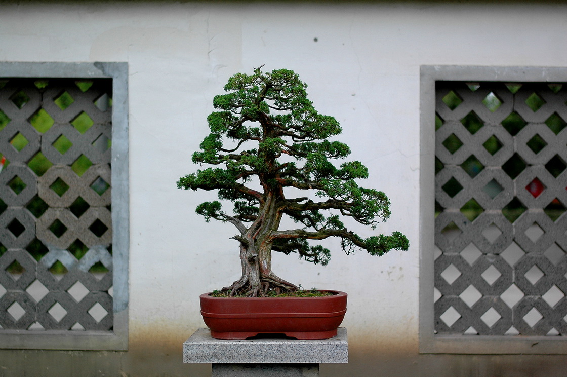 DSC_4871__resize.jpg