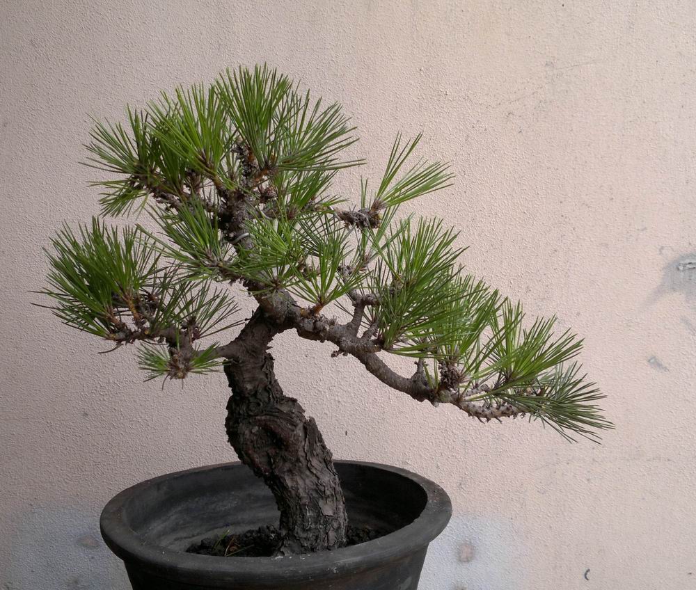 20120625269.jpg