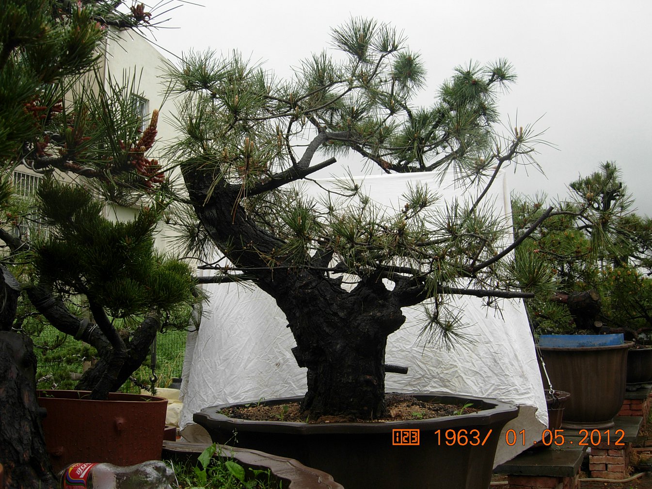DSCN6020.JPG