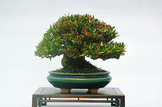 1 (25).jpg