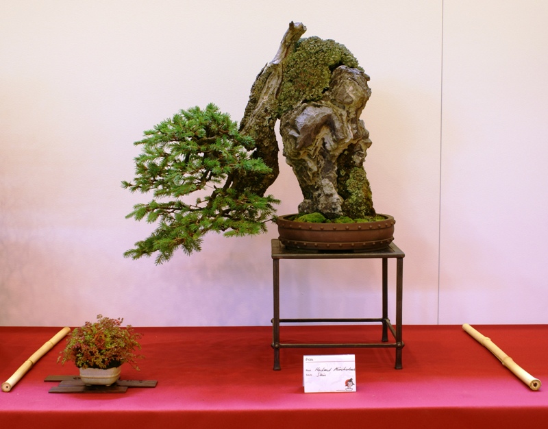 2010-1~2 (2).JPG