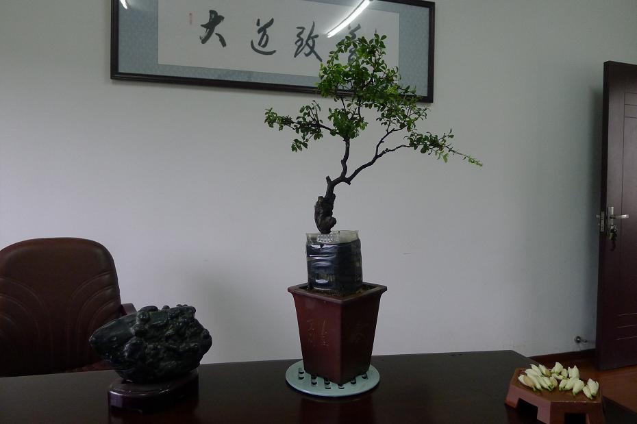 P1020718.JPG
