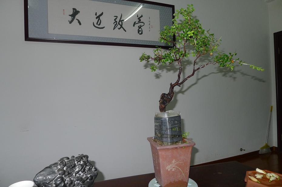 P1020723.JPG