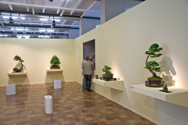 DSD_9077.jpg