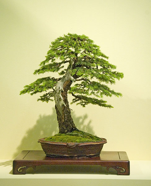 ODSC_0661v.jpg