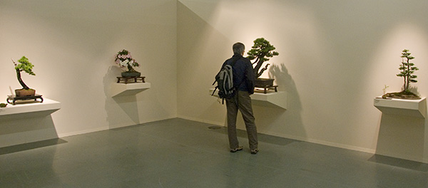 ODSC_0700v.jpg