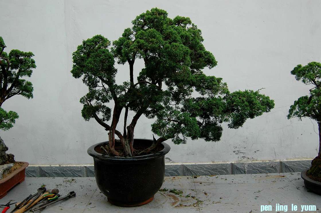 DSC_4840__resize.jpg