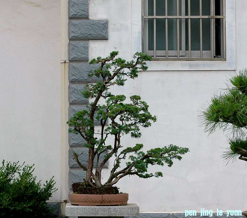 DSC_4868__resize.jpg