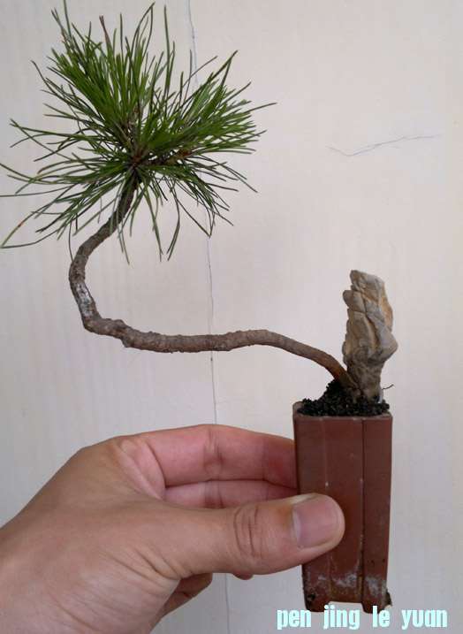 201206261208.jpg