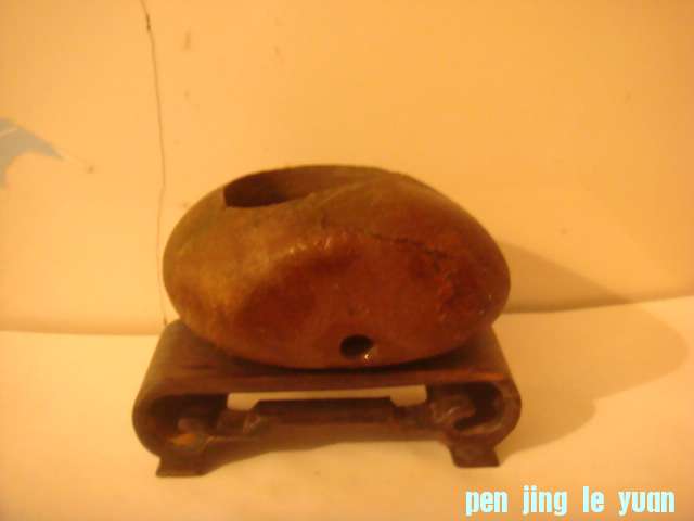 DSC03197.JPG