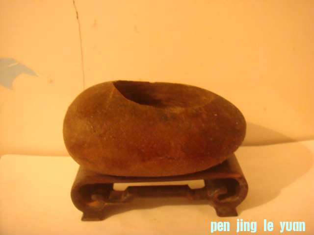 DSC03198.JPG