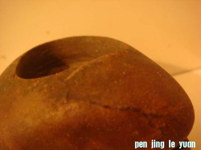 DSC03203.JPG
