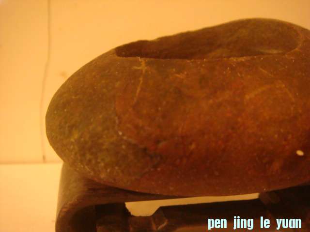 DSC03204.JPG