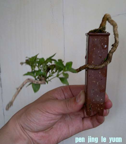 201206261221.jpg