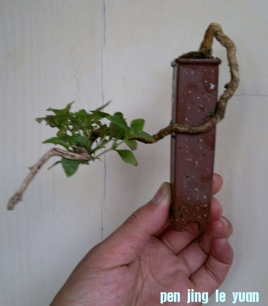 201206261222.jpg
