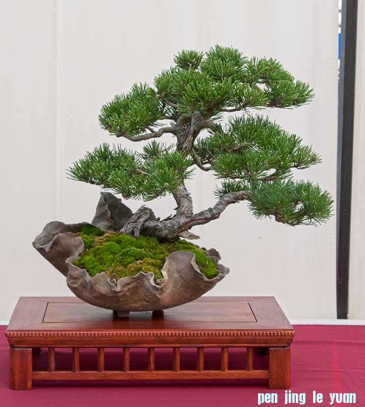 QDSC_7169w.jpg