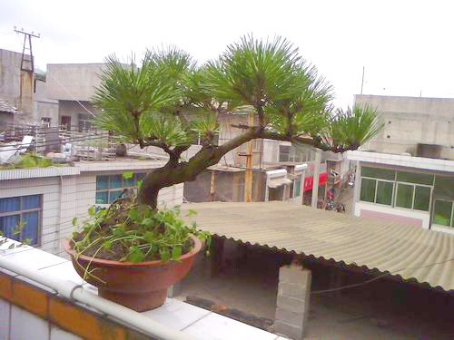 IMG0346A.jpg