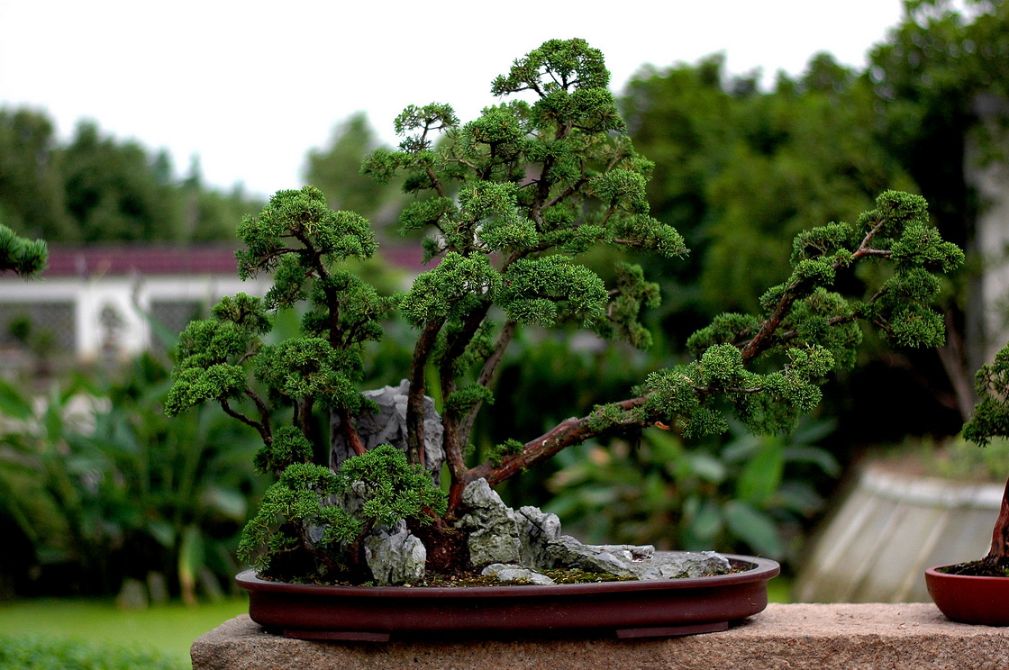 DSC_4901__resize.jpg