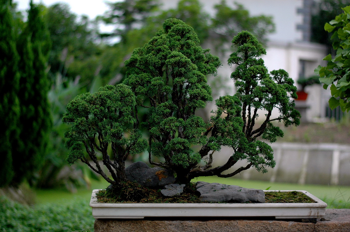 DSC_4903__resize.jpg
