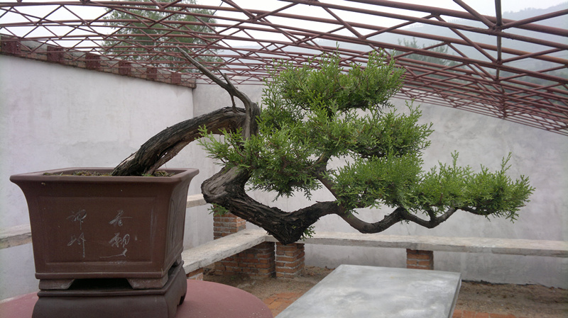 20120626007_.jpg