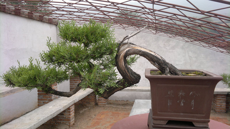 20120626008_.jpg