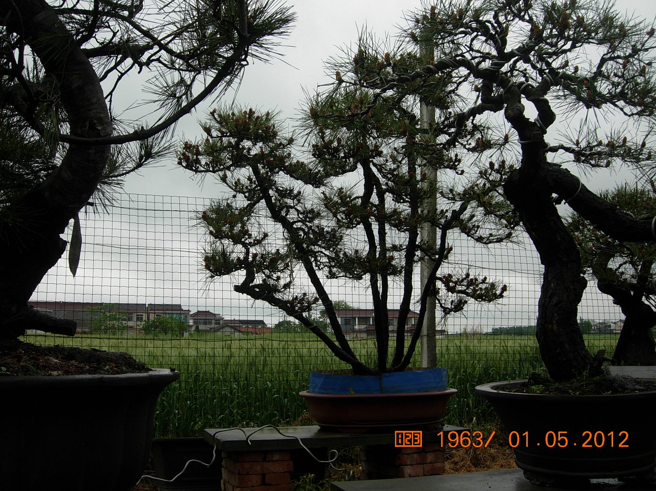 DSCN6081.JPG