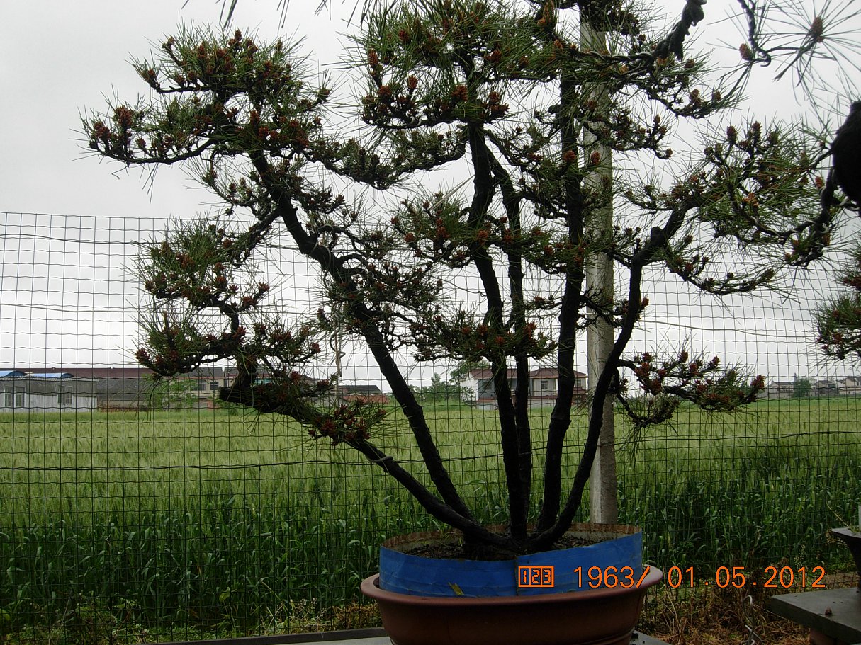 DSCN6082.JPG