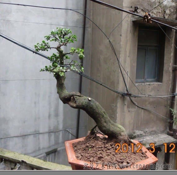 21140618sljz7jljhoouuo.jpg