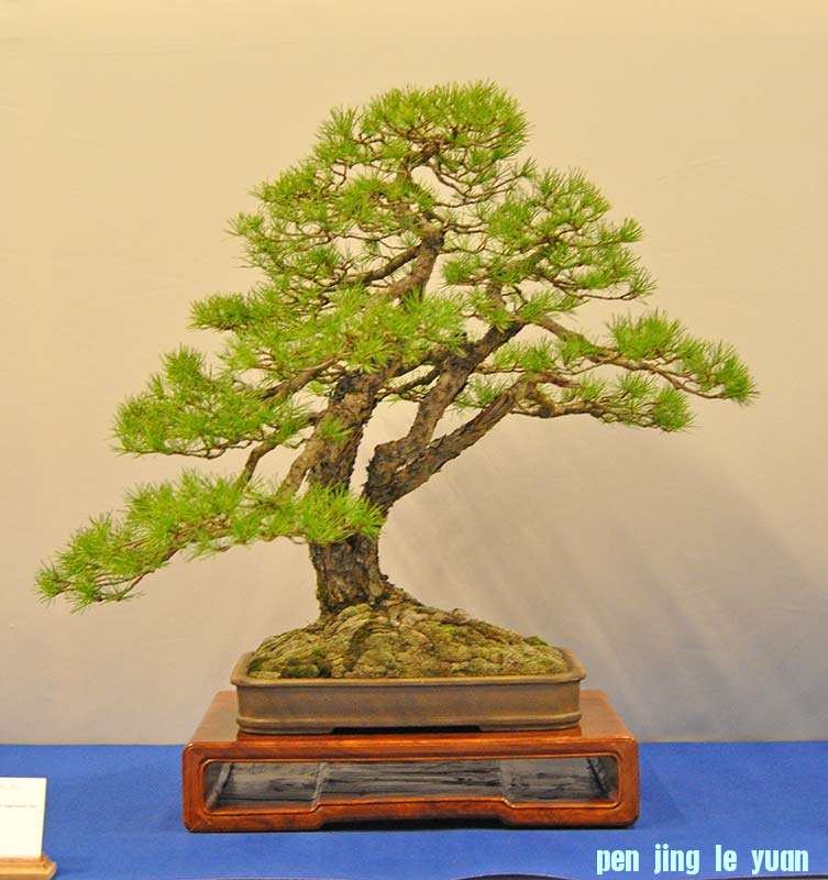 QDSC_0973w.jpg