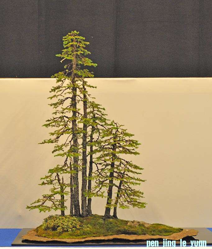 QDSC_0979w.jpg
