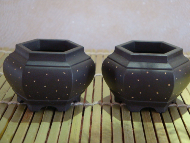 DSC09347.JPG