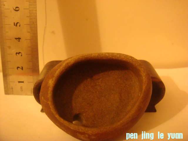 DSC03249.JPG