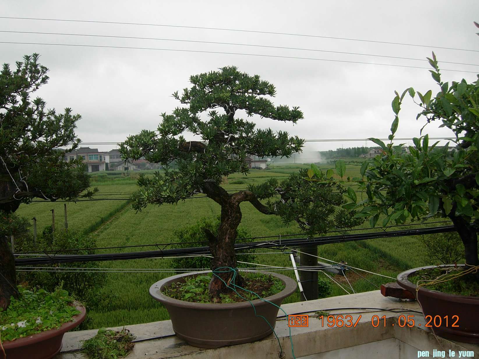 DSCN6051.JPG
