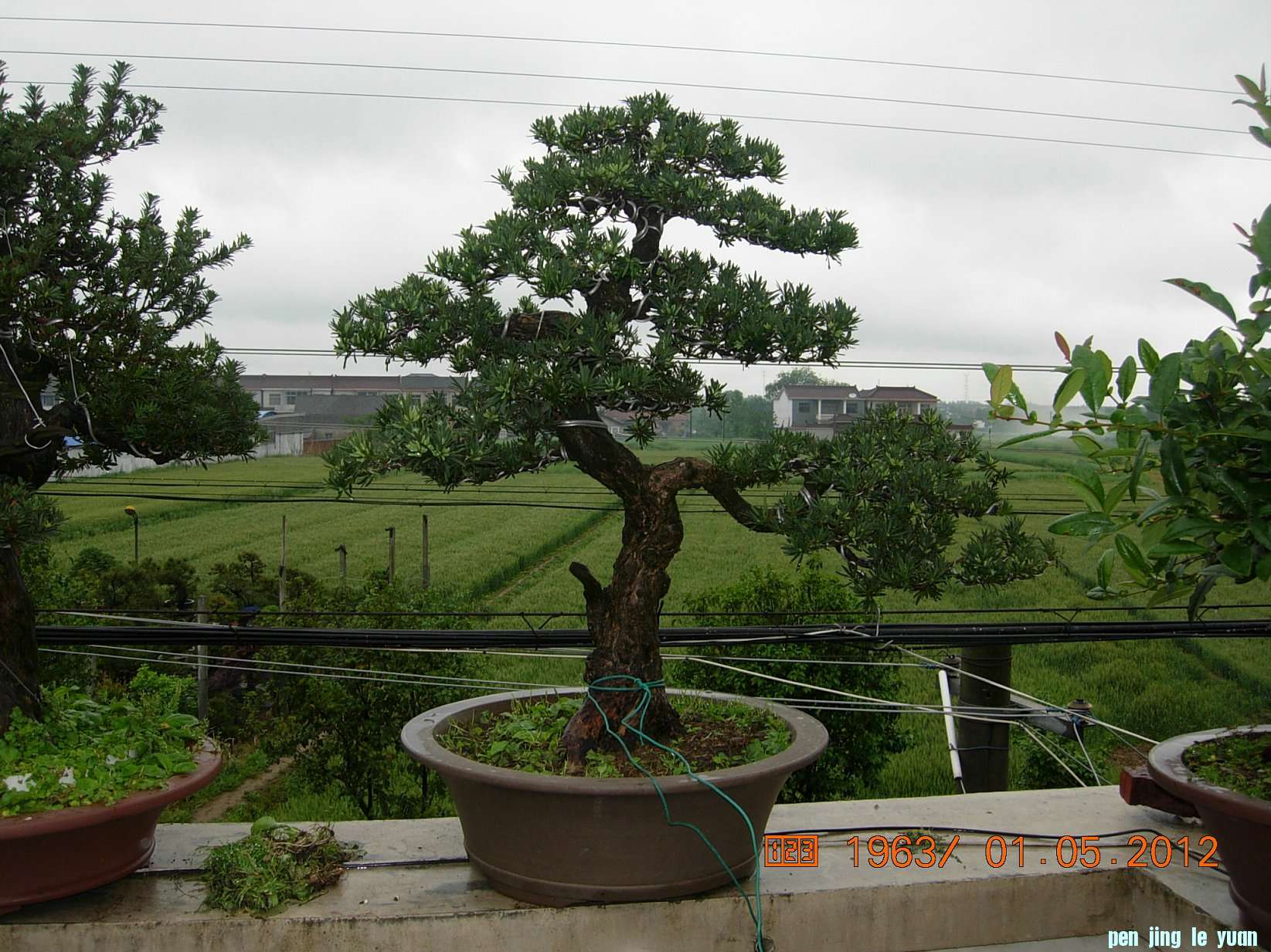 DSCN6052.JPG
