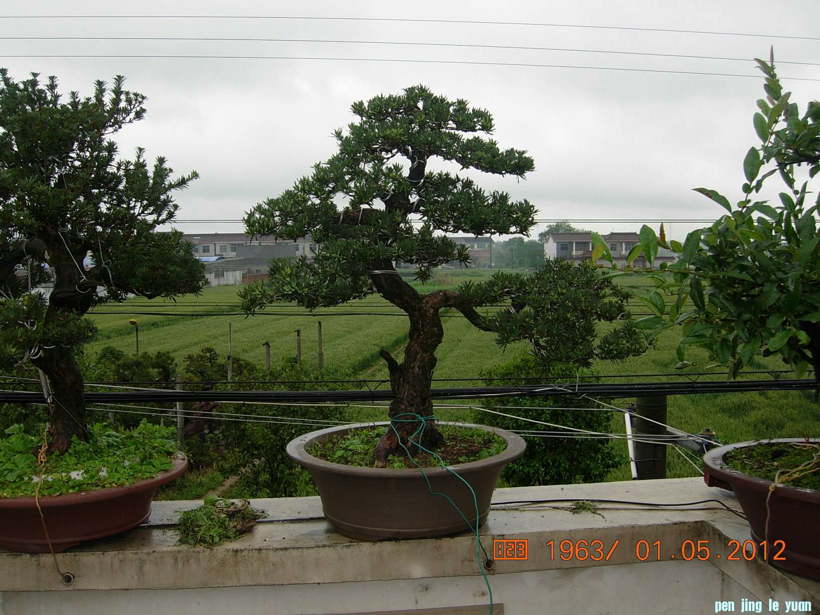 DSCN6053.JPG