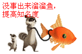 1111111.gif