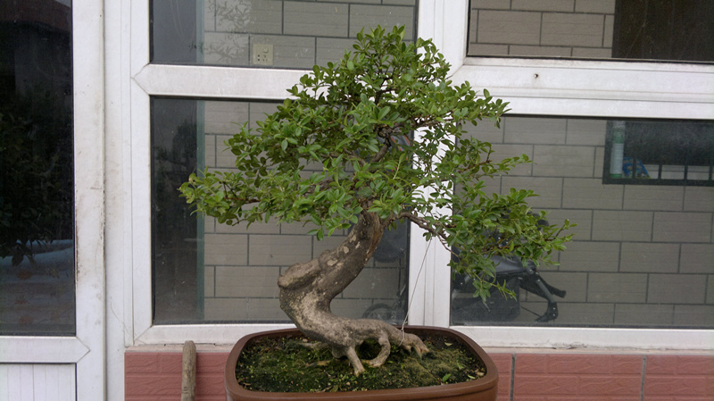 20120628014_.jpg