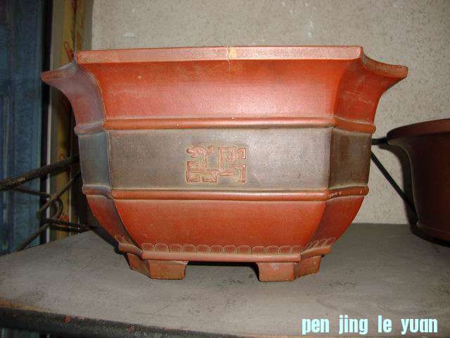 С DSC00482.JPG